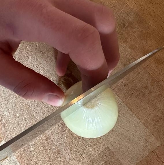 Schnitt durch Wurzel